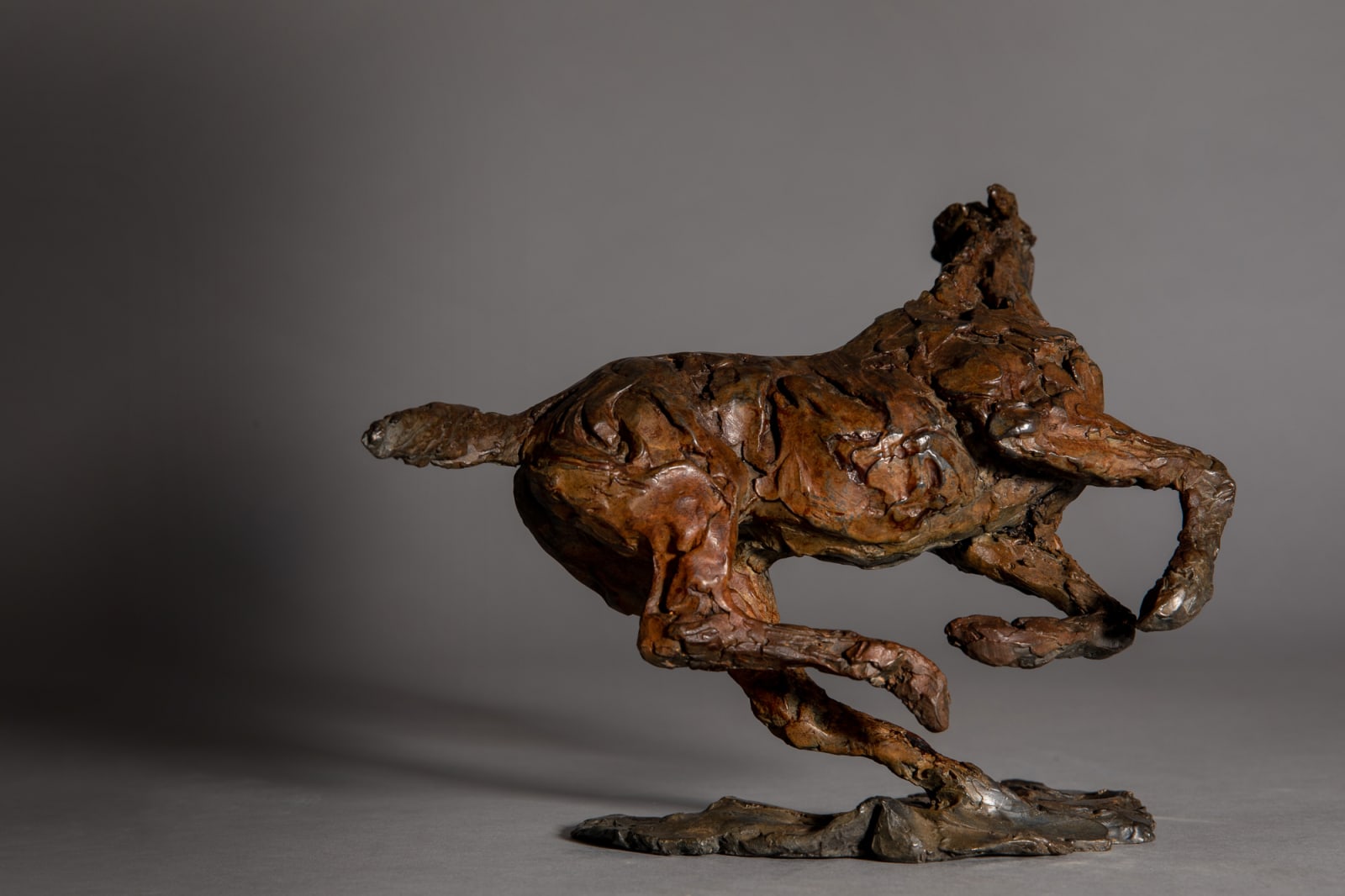 Jane Shaw, Changing Direction - Galloping Horse