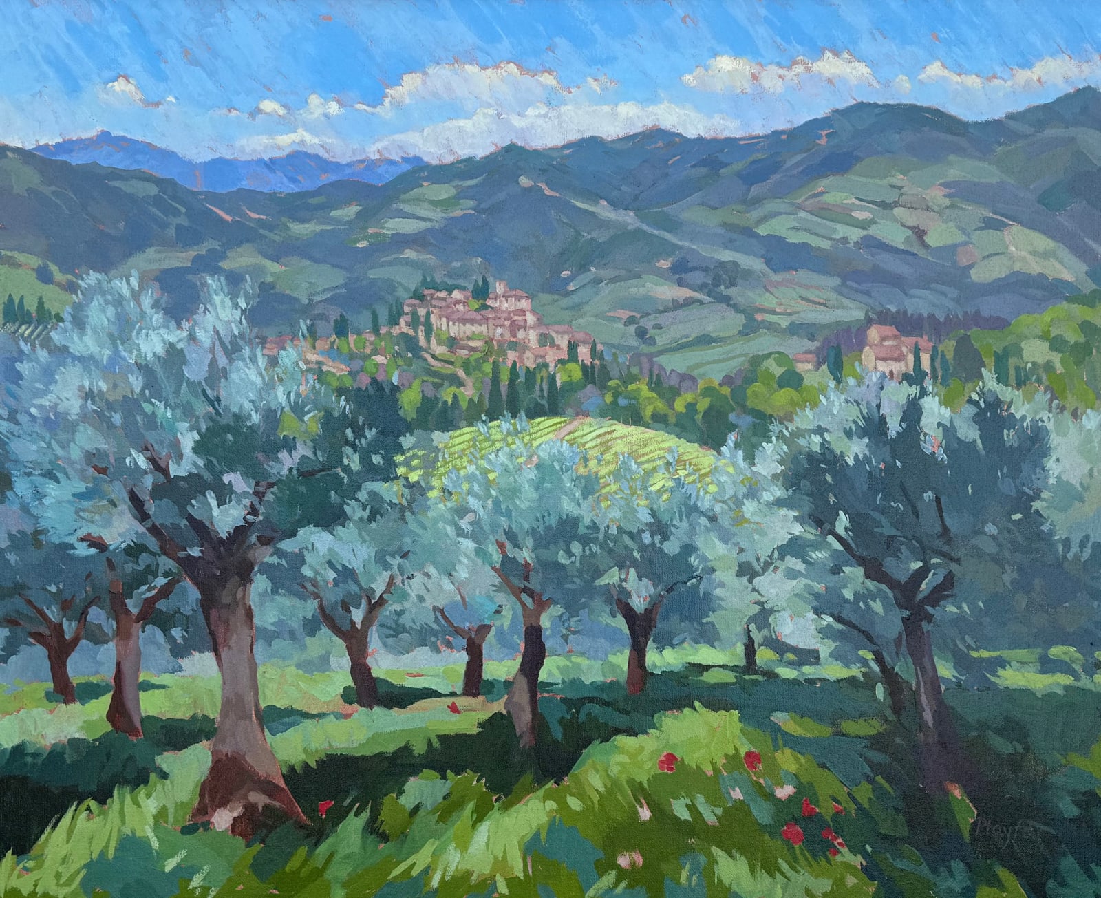 Annabel Playfair, Olive Groves above Montefioralle (Hungerford Gallery)