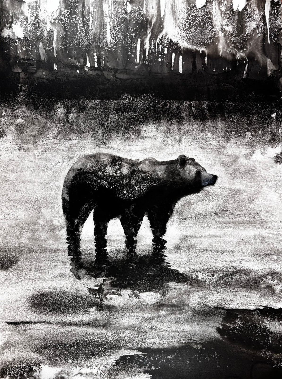 James Roberts, River Bear (Hungerford Gallery)