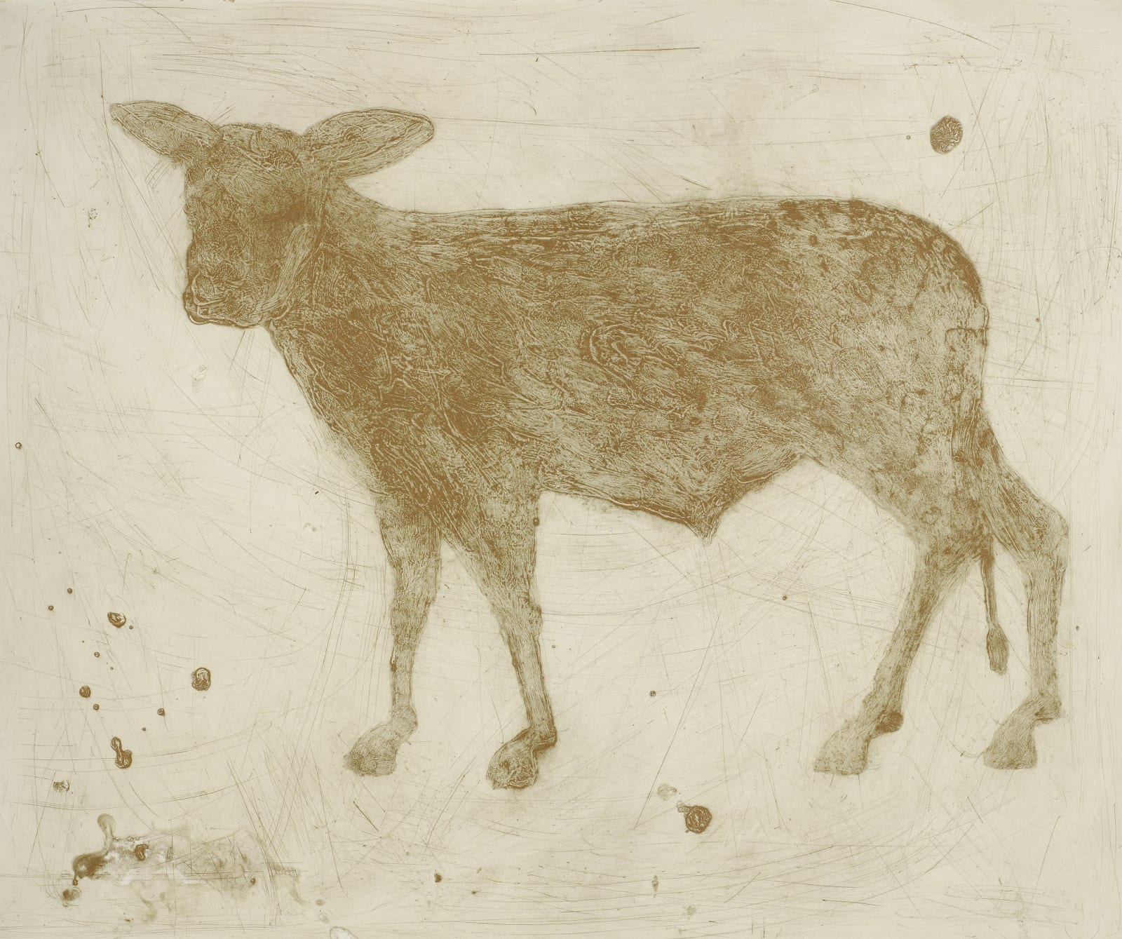 Kate Boxer, Golden Calf (Unframed)