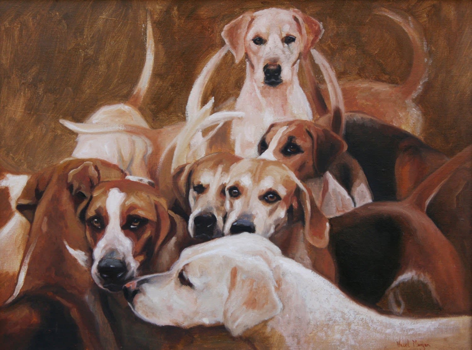 Group of hounds new arrivals