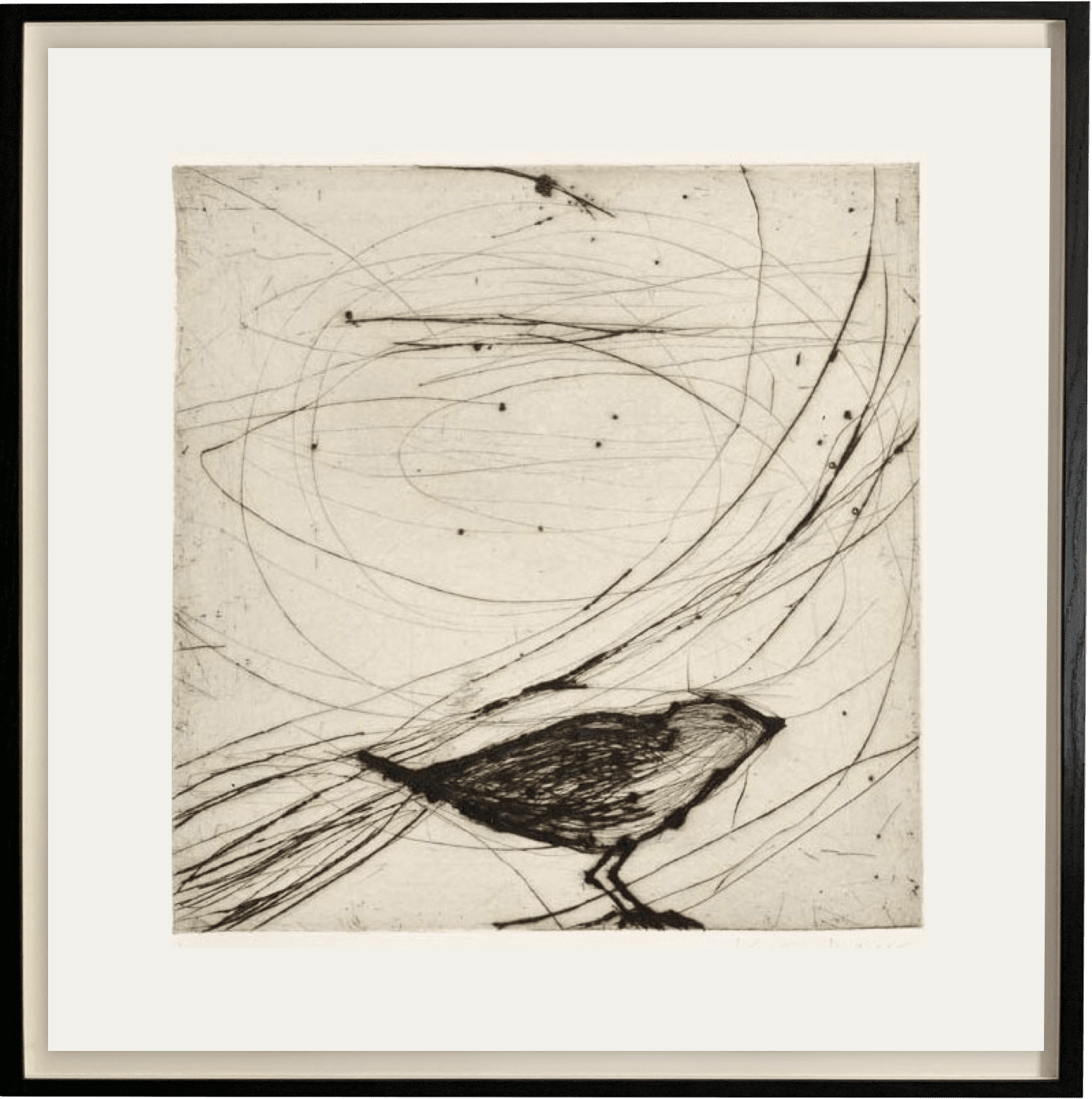 Kate Boxer, Small Bird (Unframed)