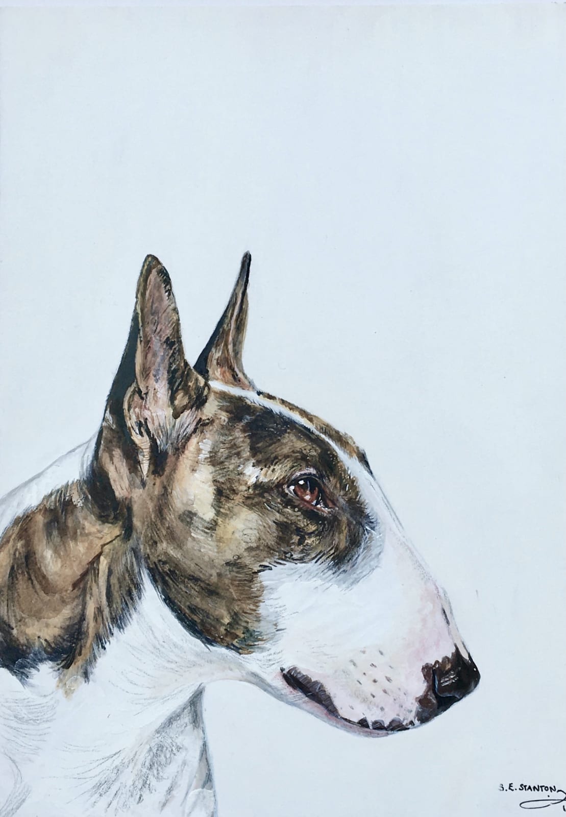 Susan Stanton, English Bull Terrier