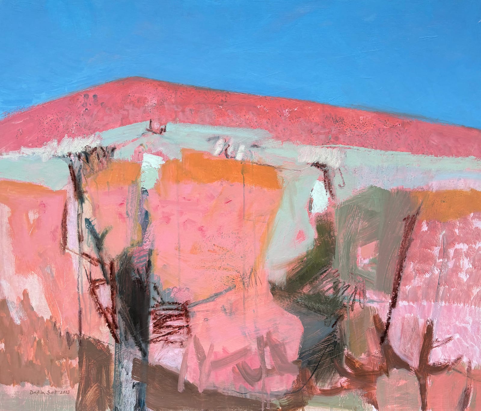 Dafila Scott, Kalahari Dune