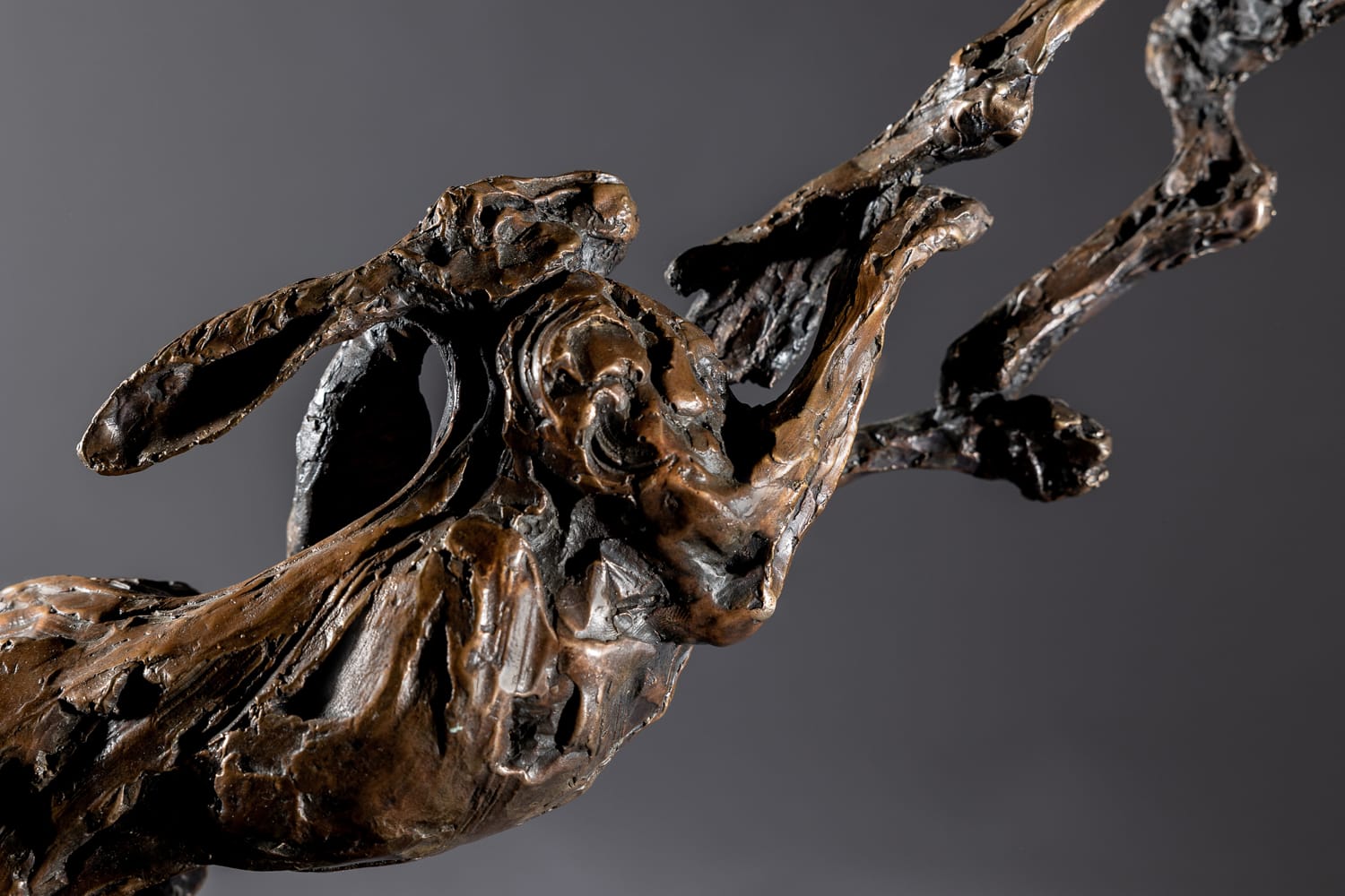 Jane Shaw, Love to Live - Boxing Hares