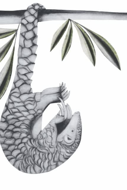 Beatrice Forshall, Sunda Pangolin (Unframed)