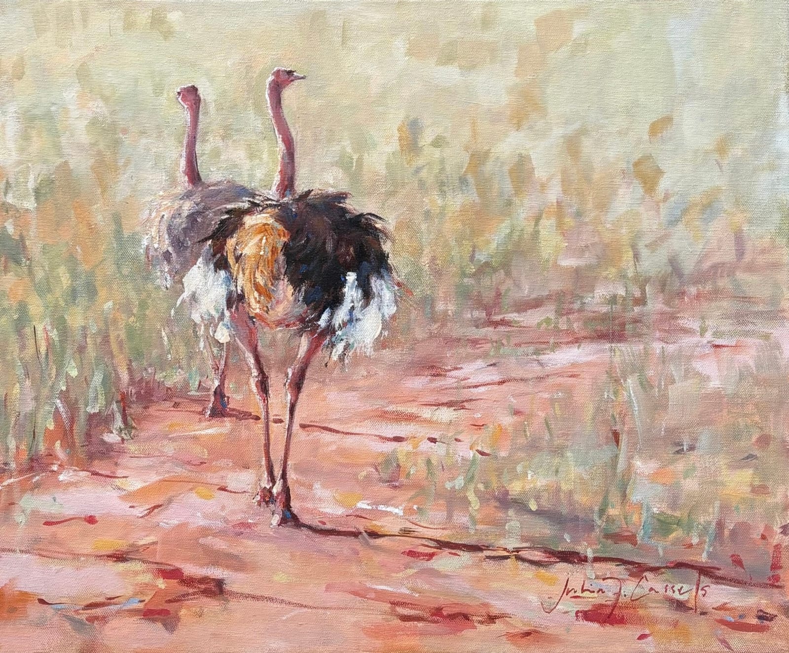 Julia Cassels, Ostrich Tracks