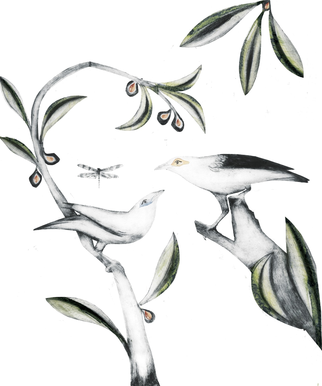 Beatrice Forshall, Bali Myna and Black Winged Starling (Unframed)