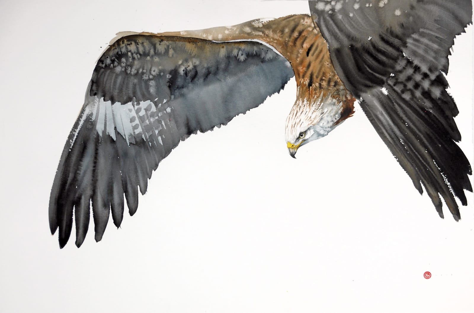 Karl Martens, Red Kite Flying II (Unframed)