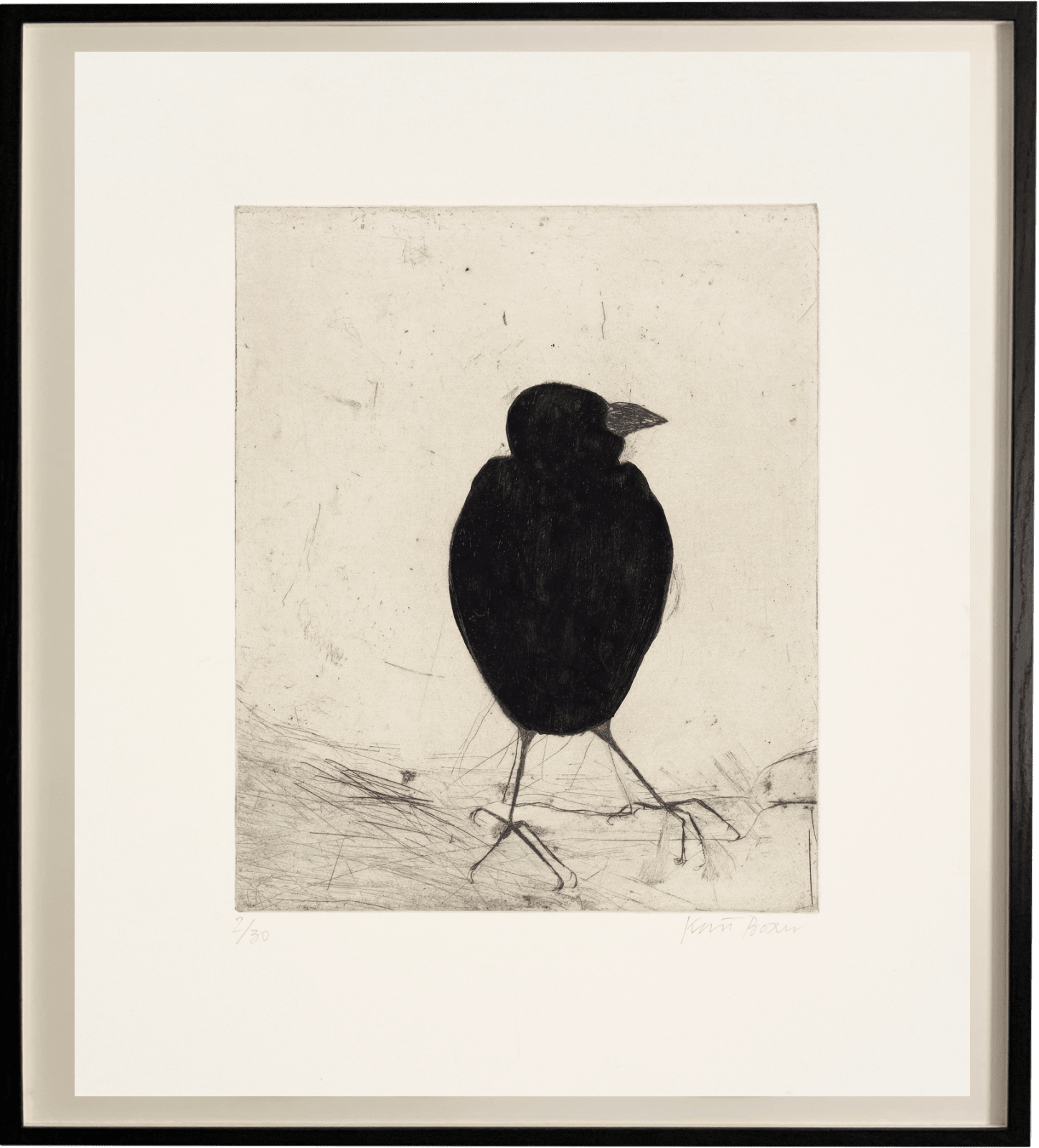 Kate Boxer, Jackdaw (Unframed)