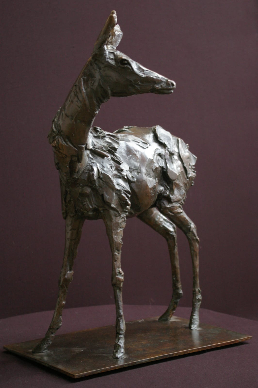 Adam Roud, Doe Study