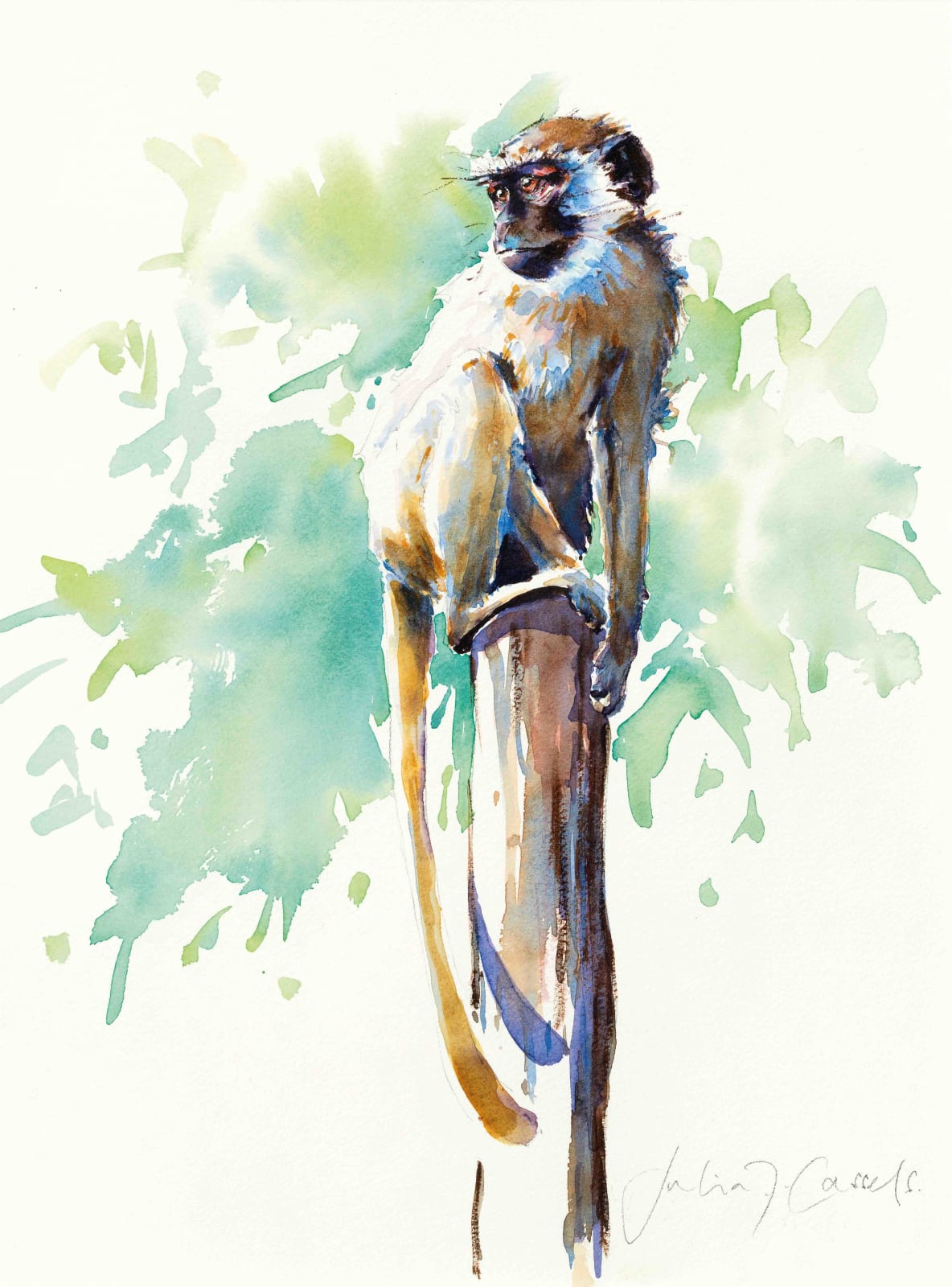 Julia Cassels, Lookout