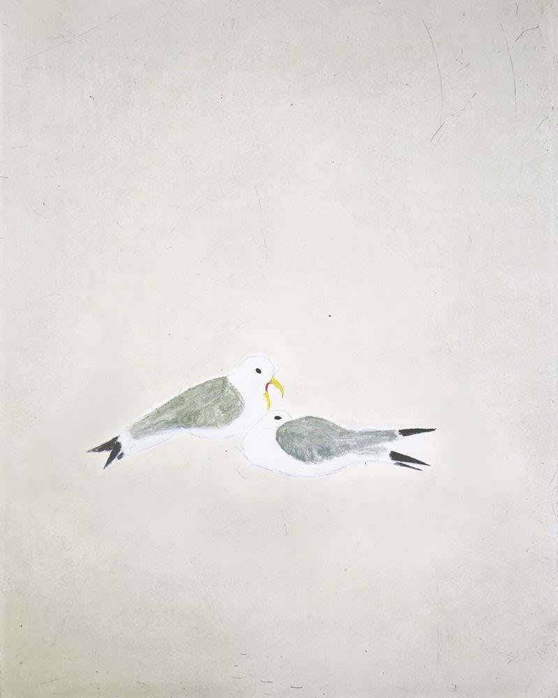 Kate Boxer, Kittiwakes (Unframed)