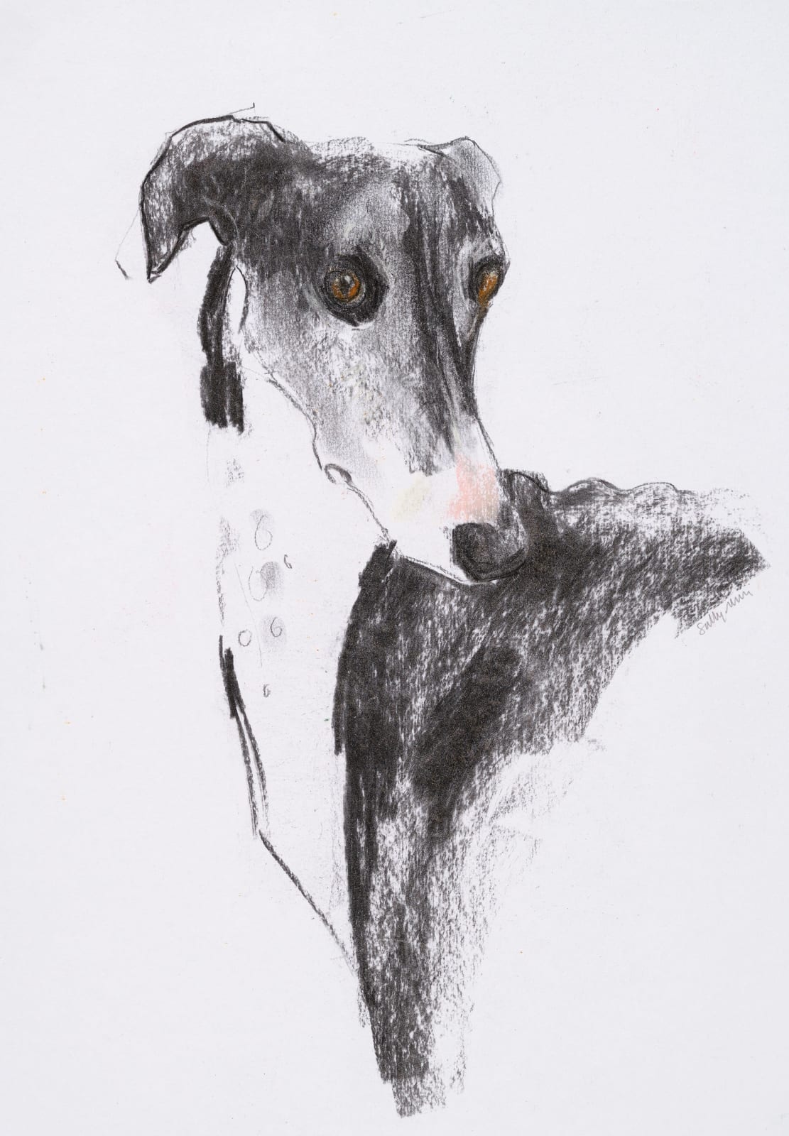 Sally Muir, Braveheart