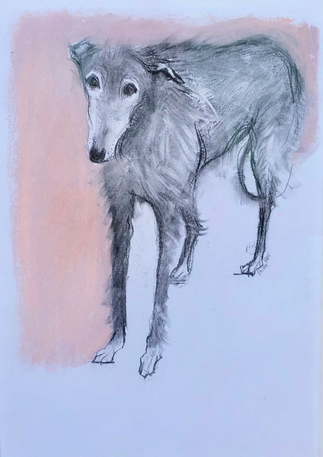 Sally Muir, Dora (London Gallery)