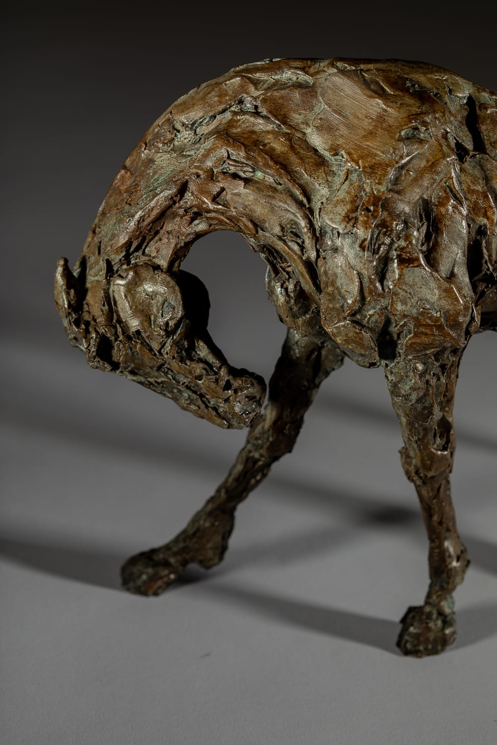 Jane Shaw, Dancing Thoroughbred