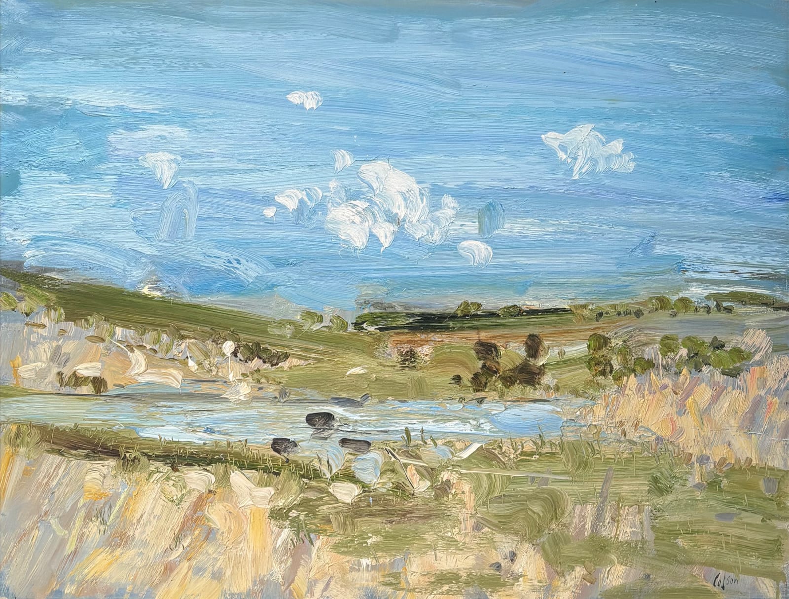 Richard Colson, Watershed Ridge