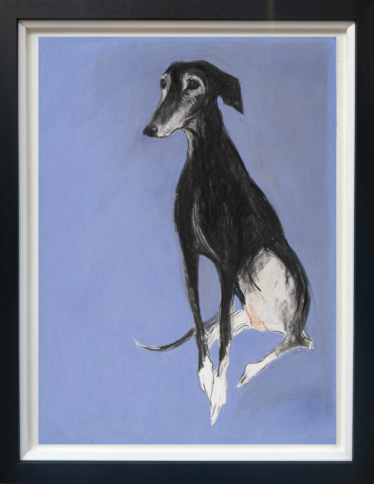 Sally Muir, Justino III