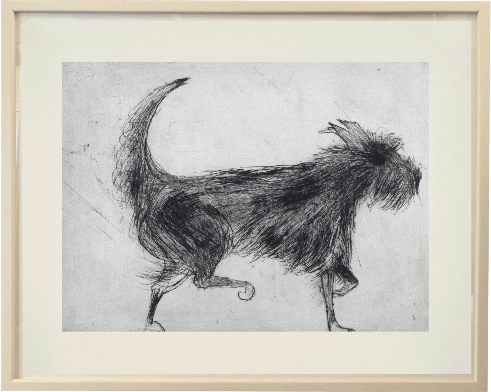 Kate Boxer, Fig (Unframed)
