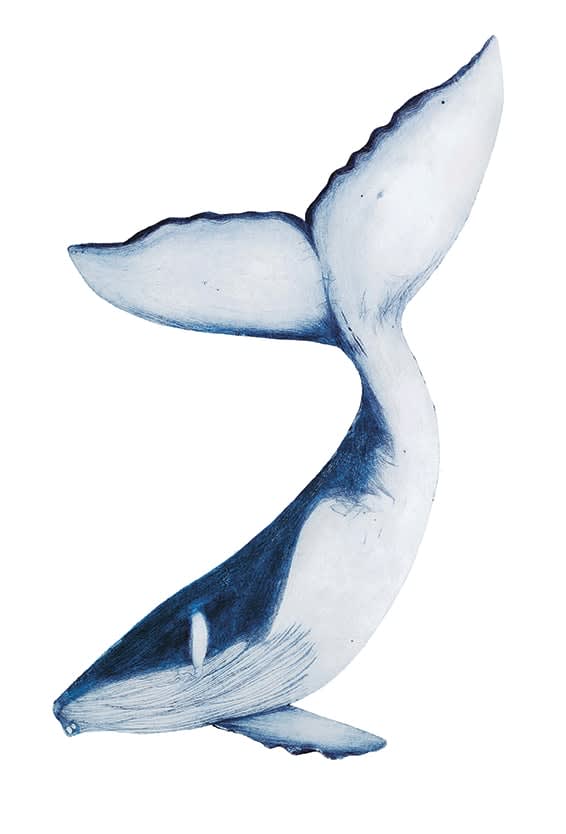 Beatrice Forshall, Humpback Whale (Unframed)