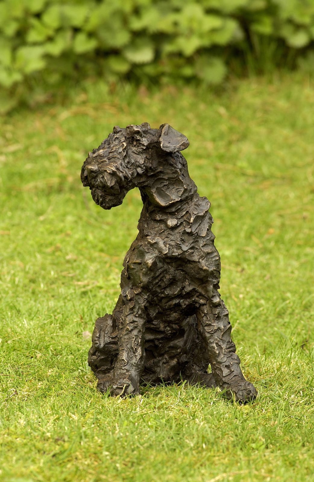Rosemary Cook, Rusty