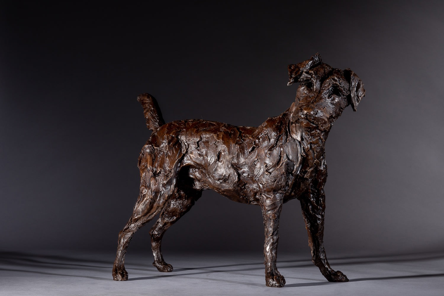 Jane Shaw, King of the Castle - Standing Terrier