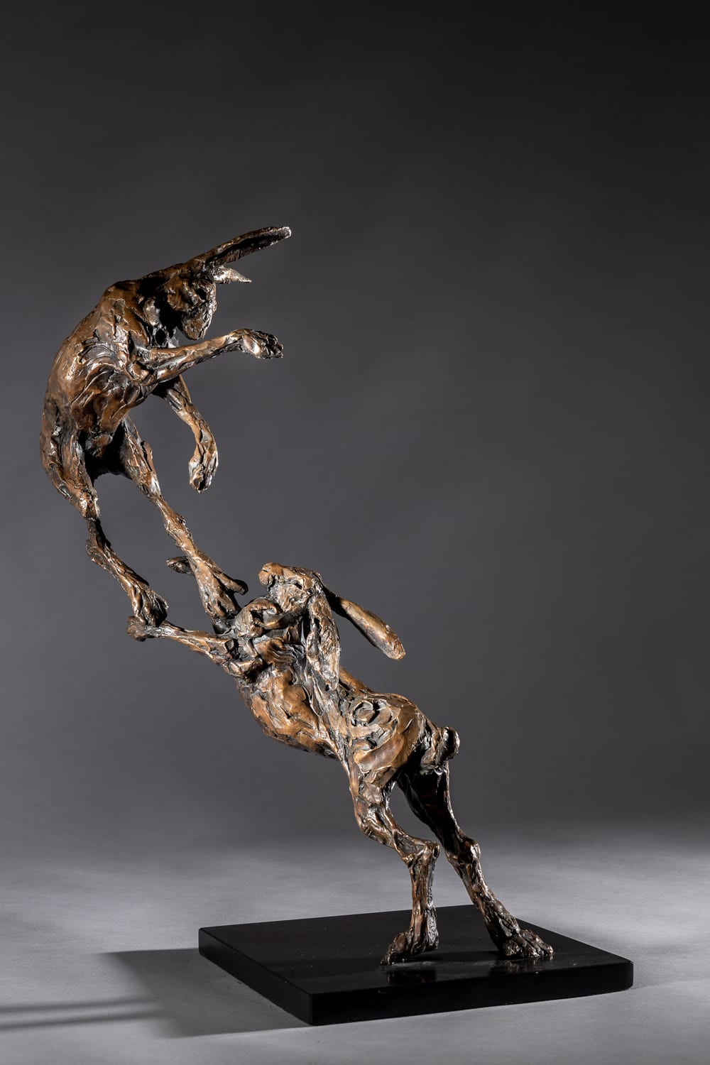 Jane Shaw, Love to Live - Boxing Hares