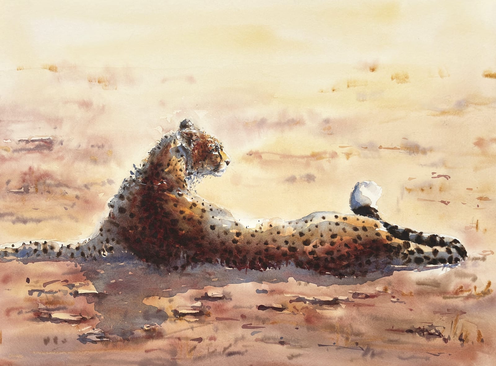 Julia Cassels, Afternoon Sun