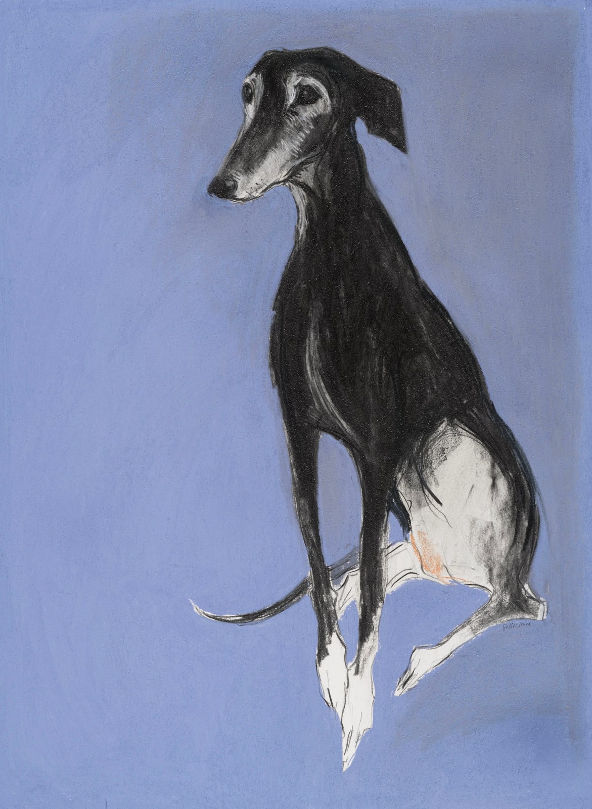 Sally Muir, Justino III