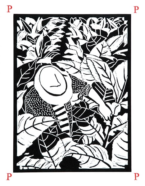 Dione Verulam, p is for picking (Unframed)