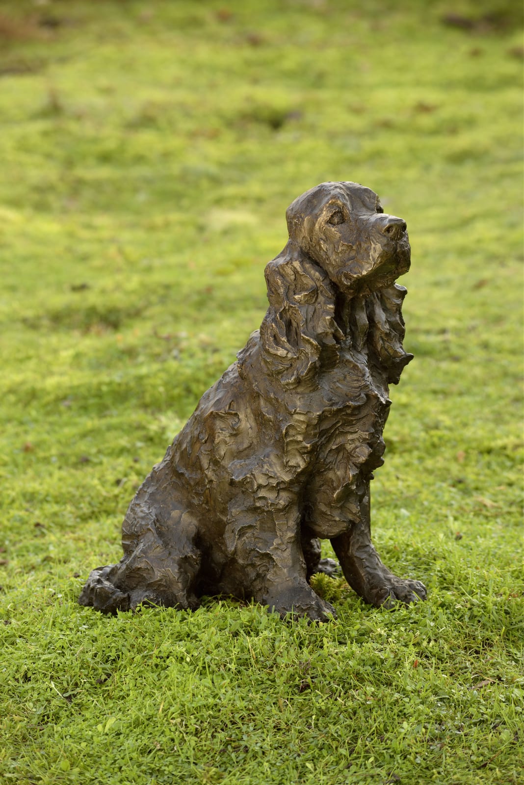 Rosemary Cook, Polly - Cocker Spaniel, Life-size
