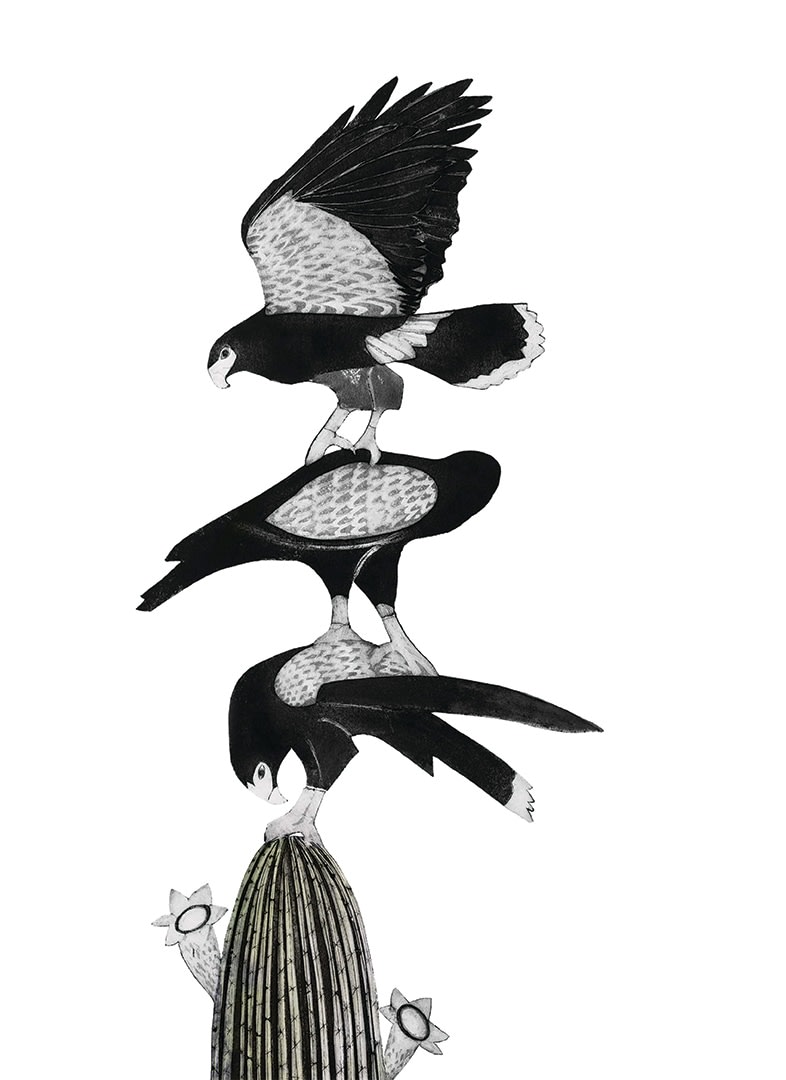 Beatrice Forshall, Harris's Hawks and Saguaro (unframed)