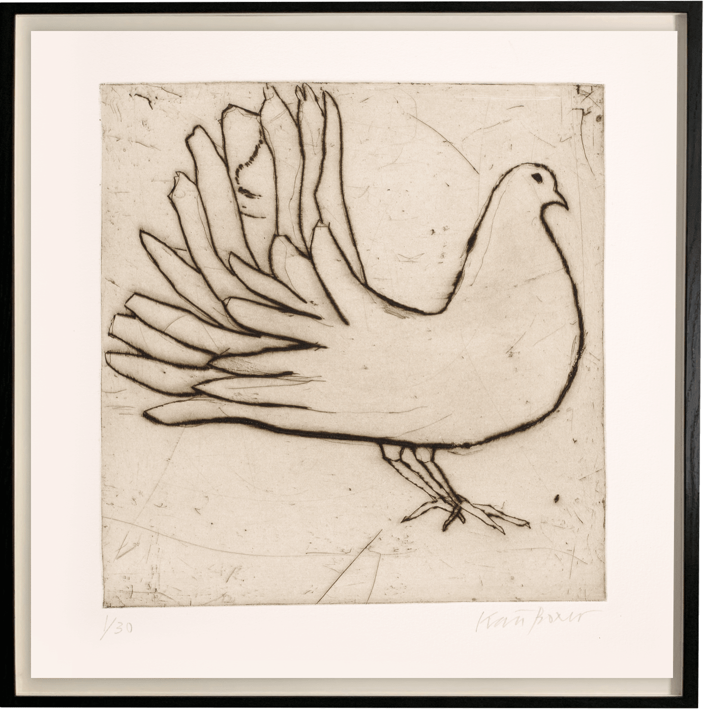 Kate Boxer, Fantail Dove (Unframed)