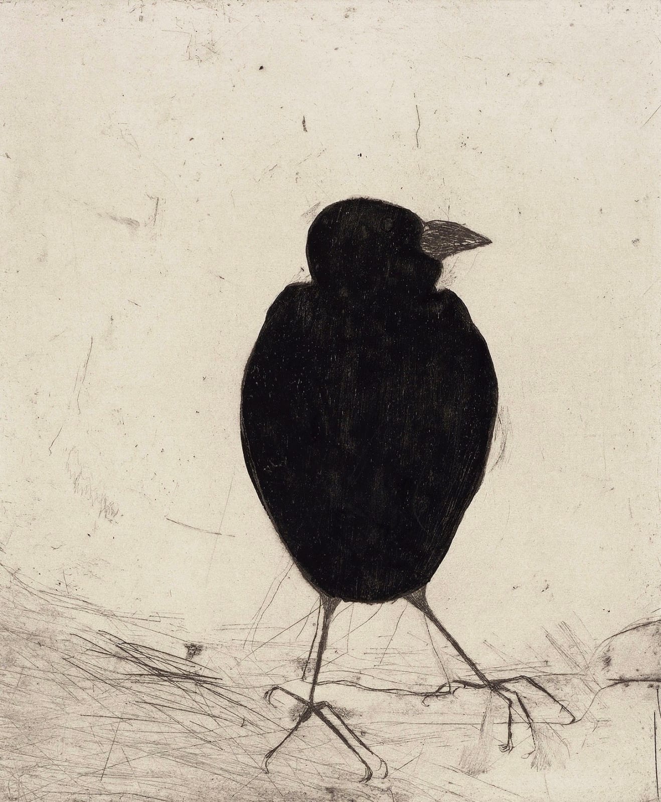 Kate Boxer, Jackdaw (Unframed)