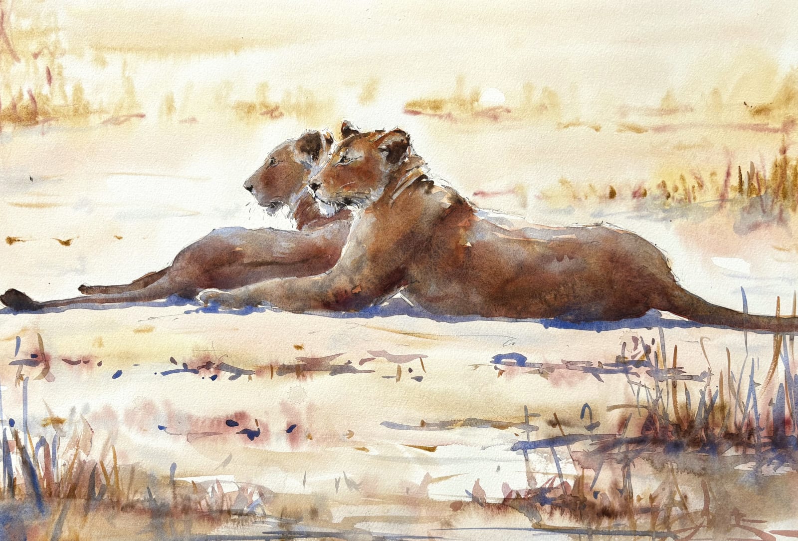 Julia Cassels, Lionesses