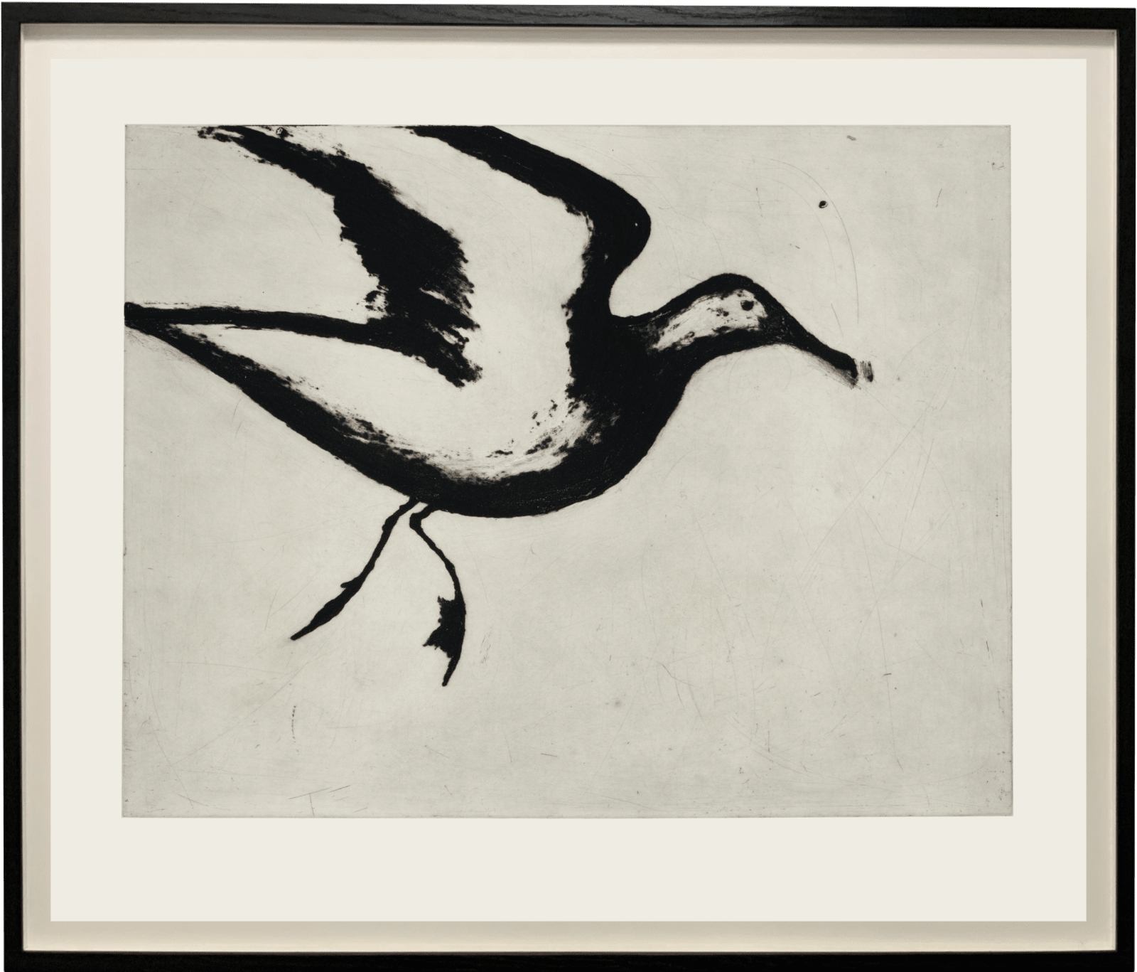Kate Boxer, Gull (Unframed)