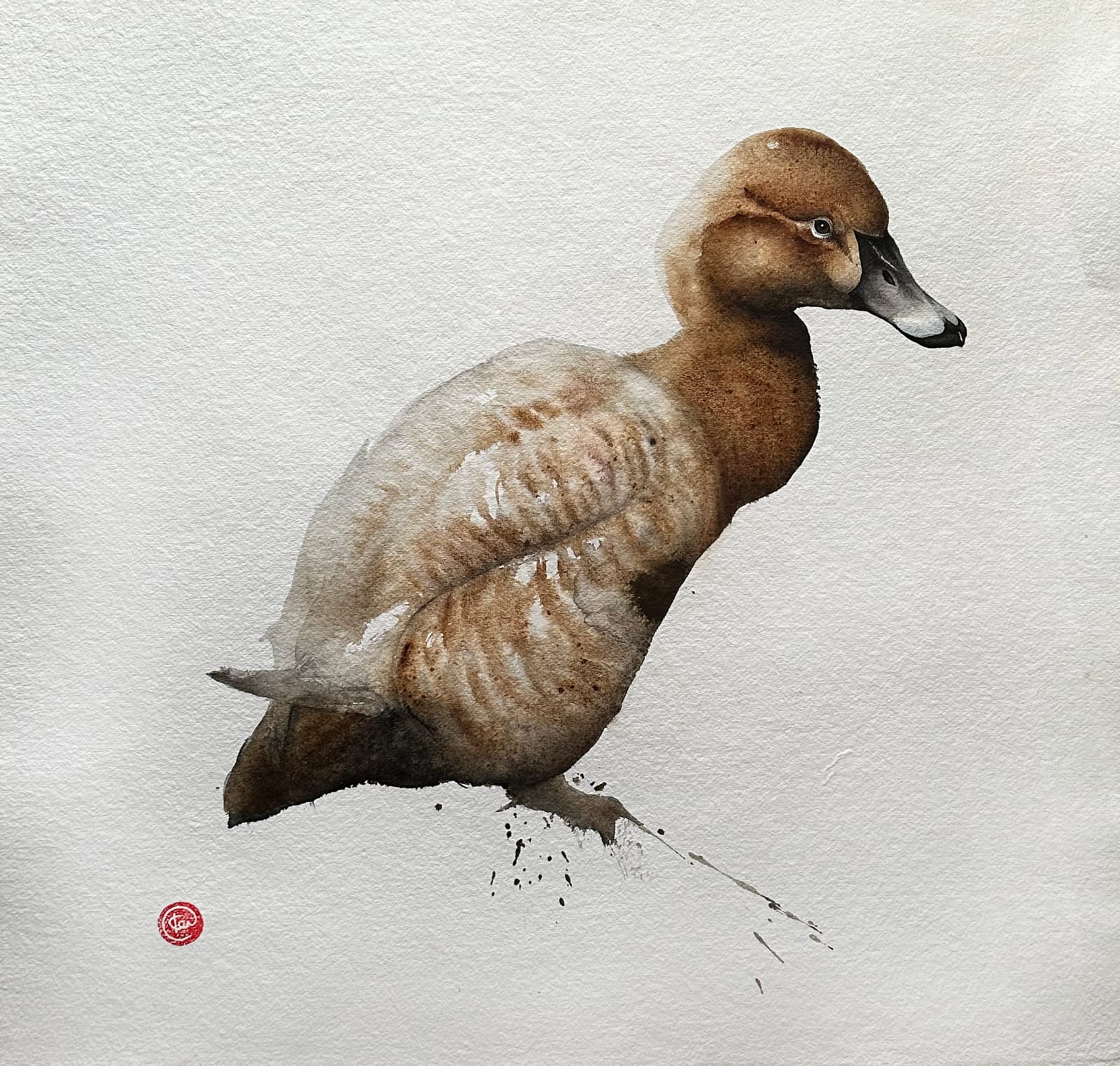 Karl Martens, Pochard Female (Hungerford Gallery)