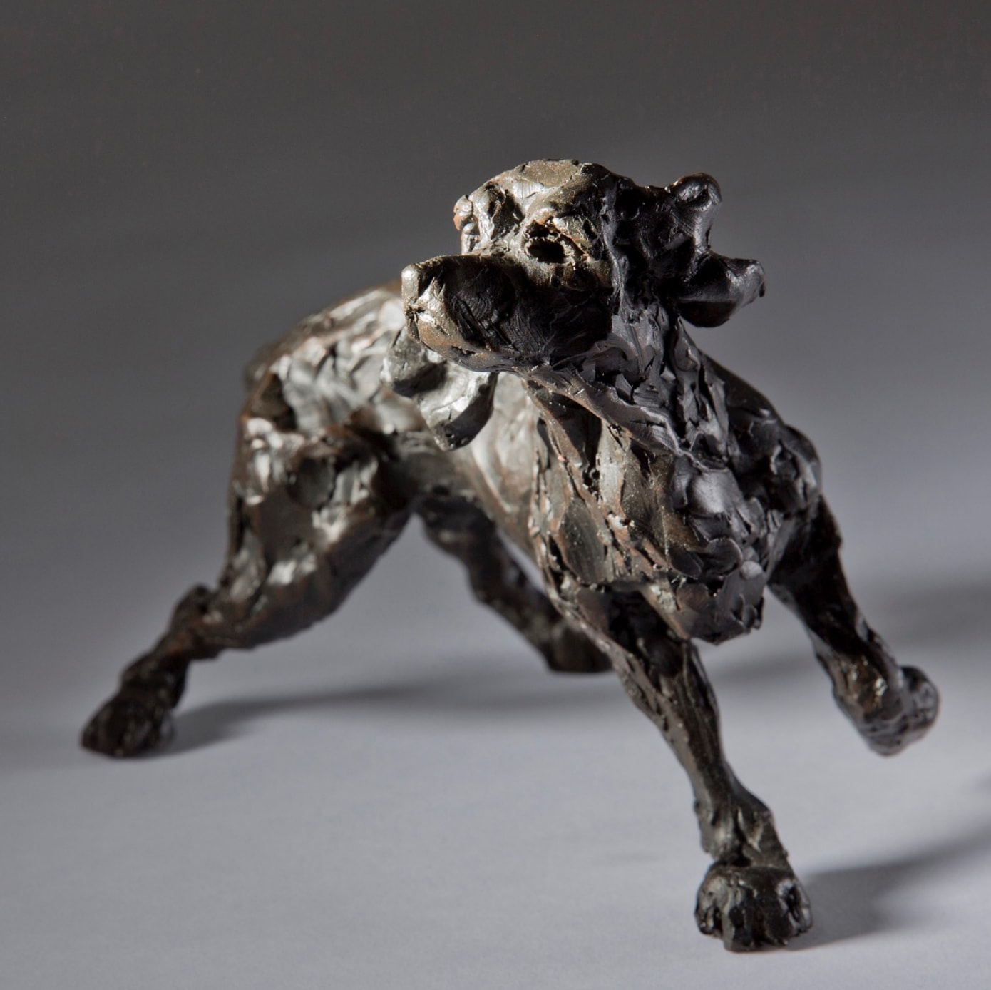 Jane Shaw, Listening - Working Cocker