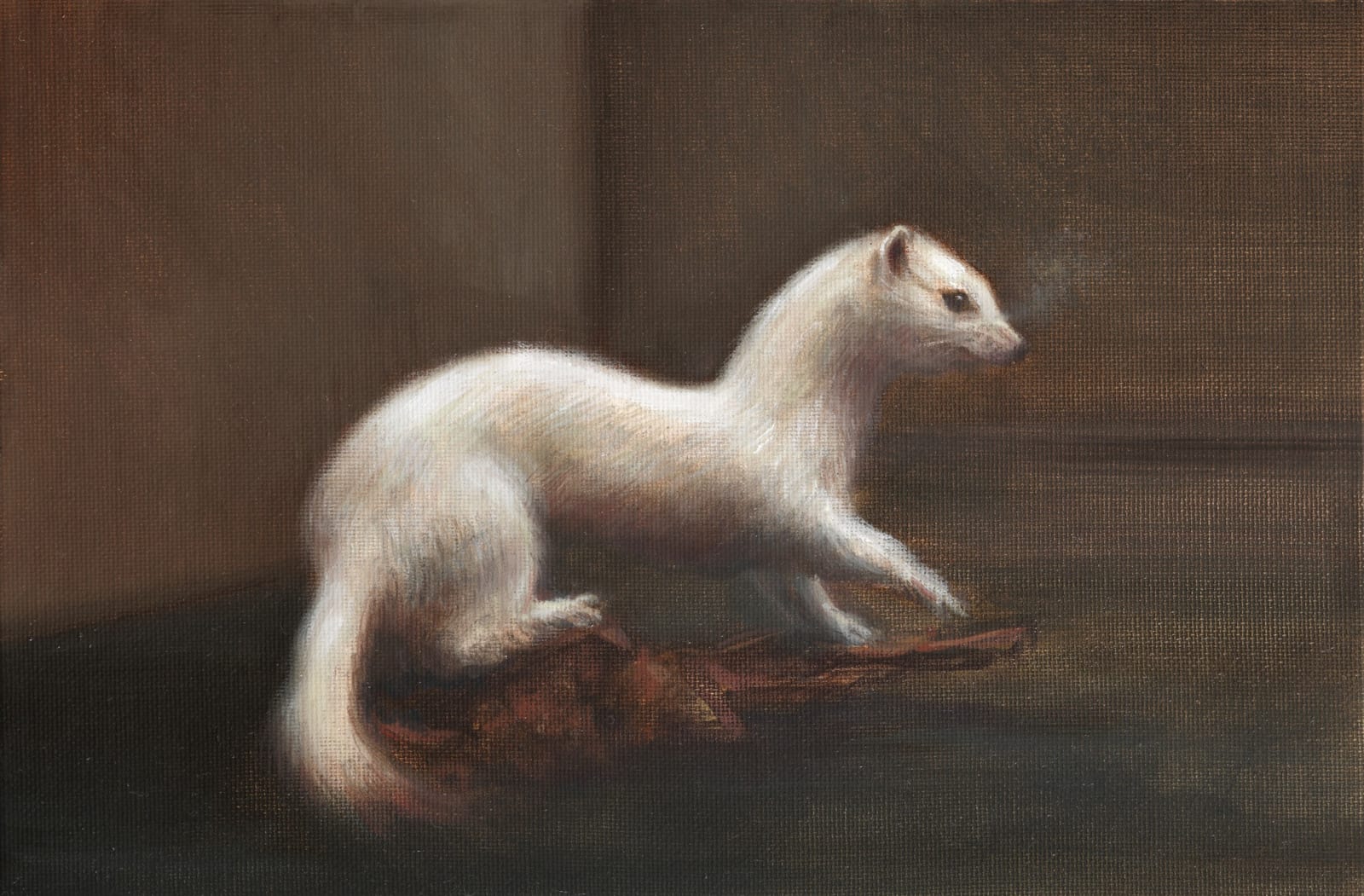 Anna Madia, Hermine, 2023