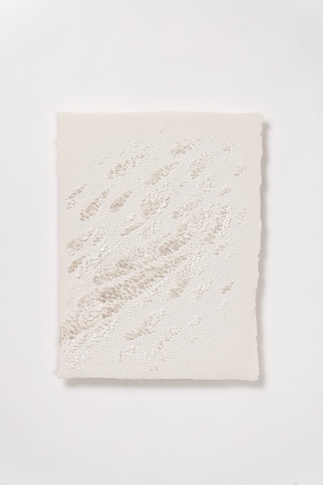 Lauren Collin & Virginie Renault, Sans titre 005, 2023