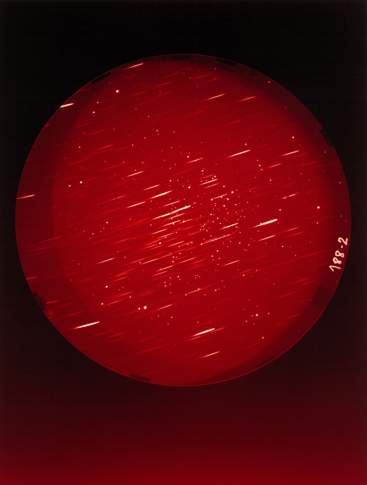 Caroline Corbasson, Pollen, 2021