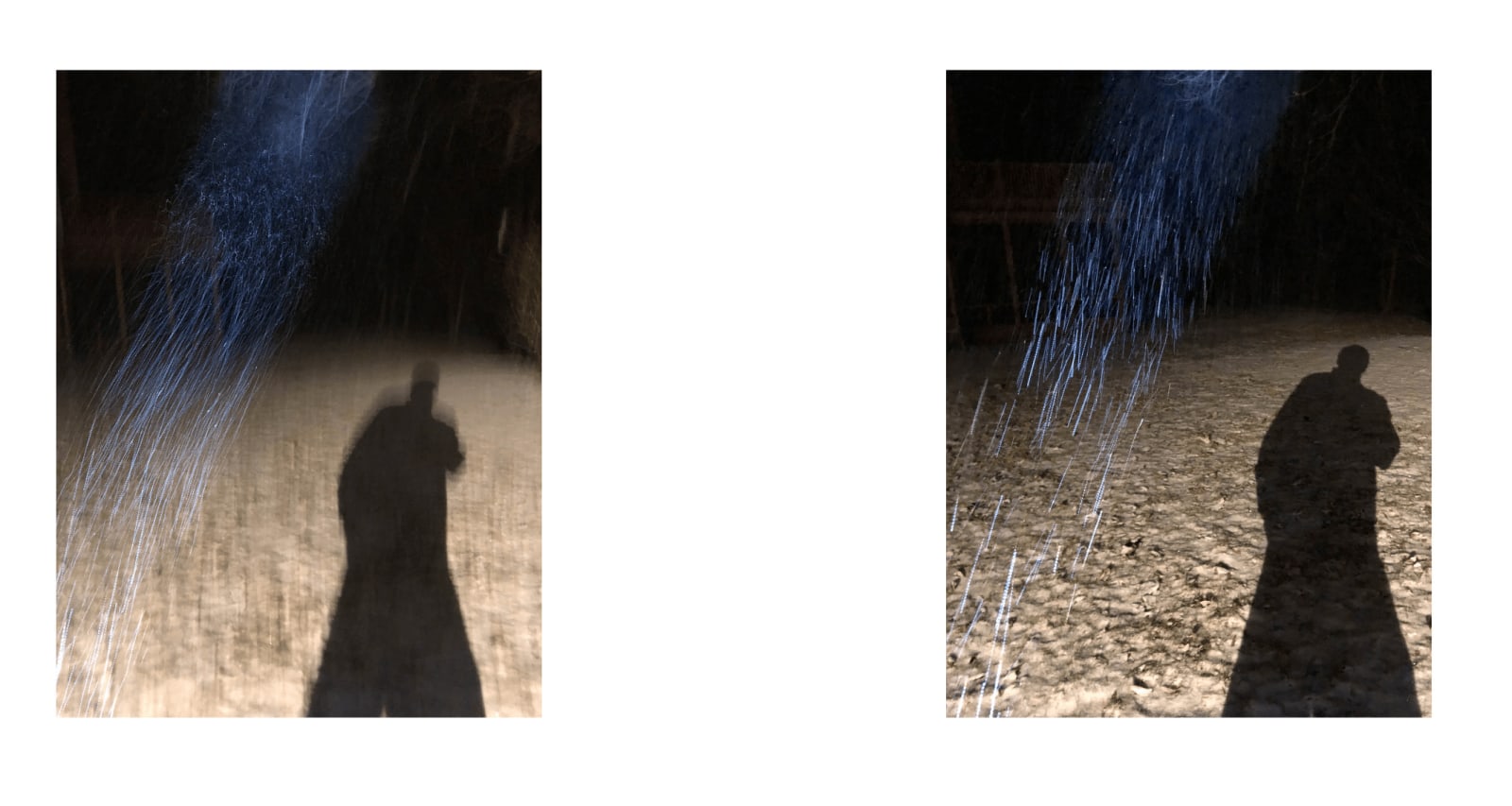 Shadows 14, 2021