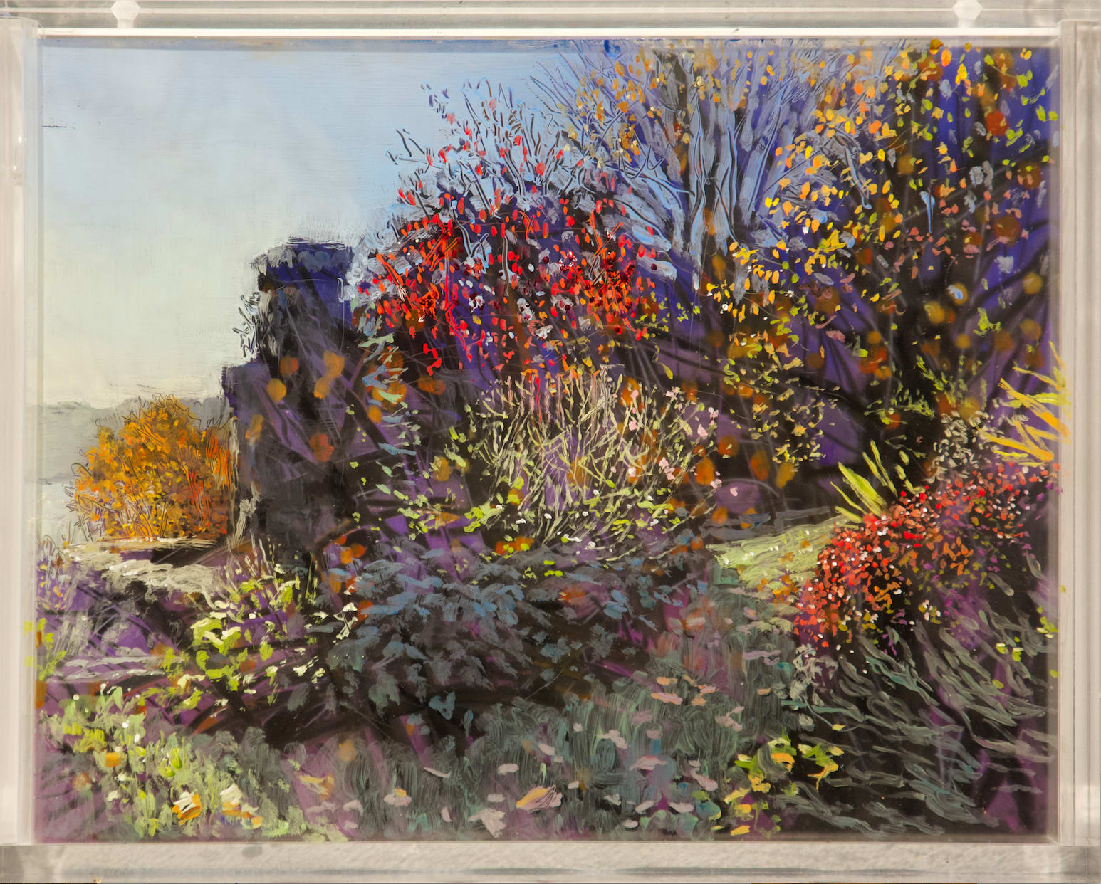 Garden, November, Afternoon Over Evening