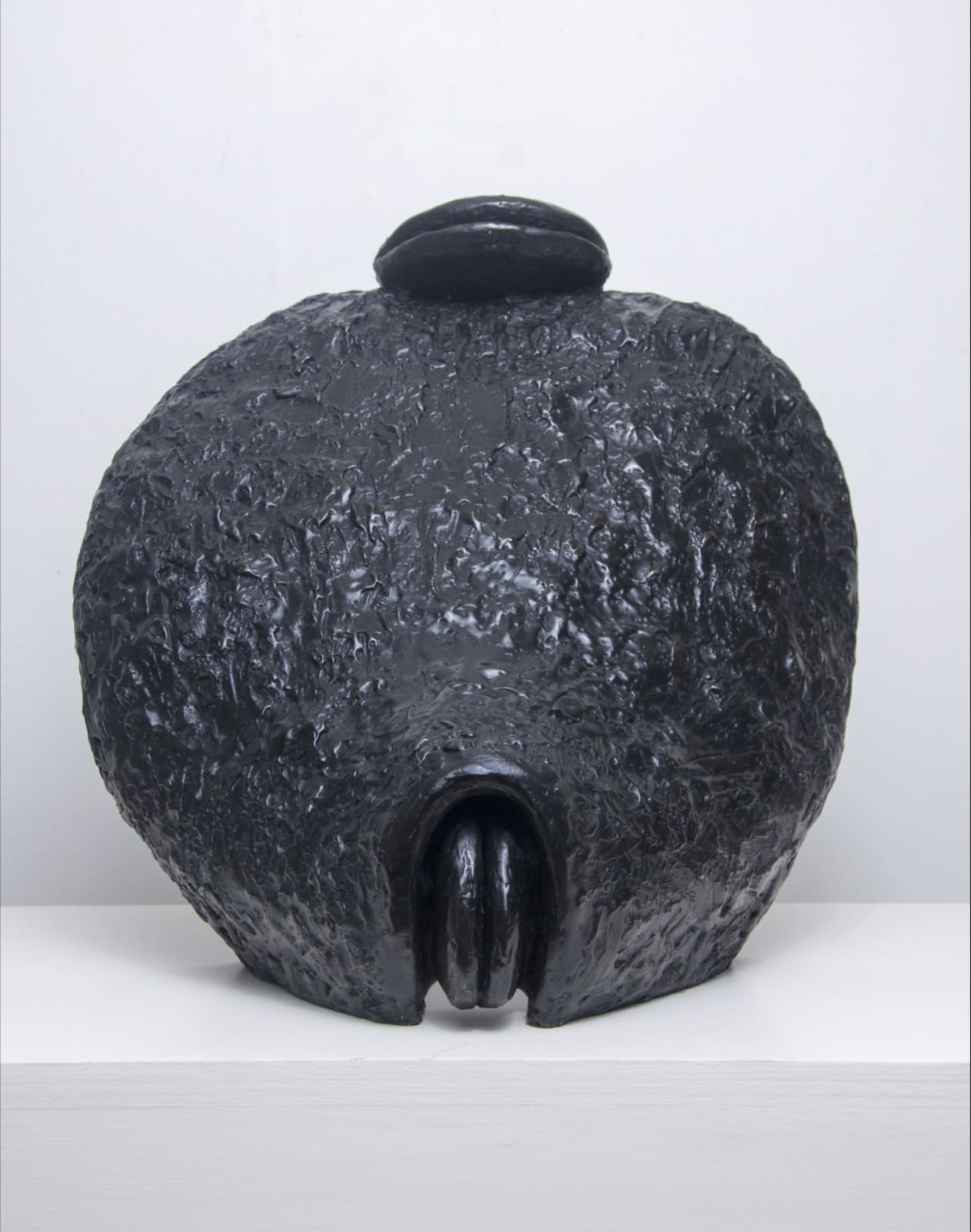 Black Venus, 2014
