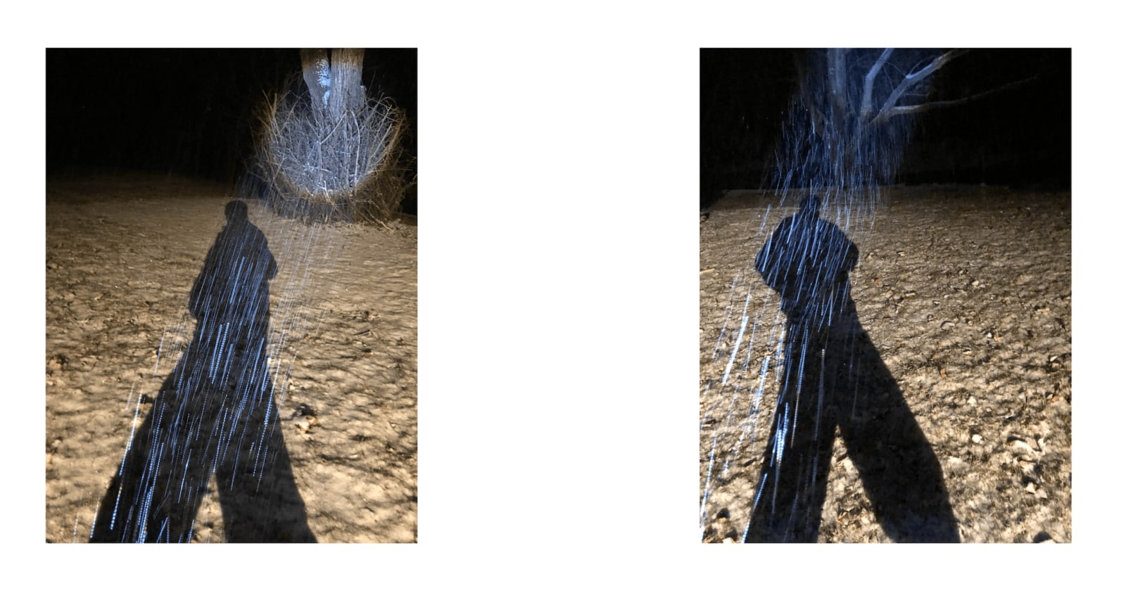 Shadows 13, 2021