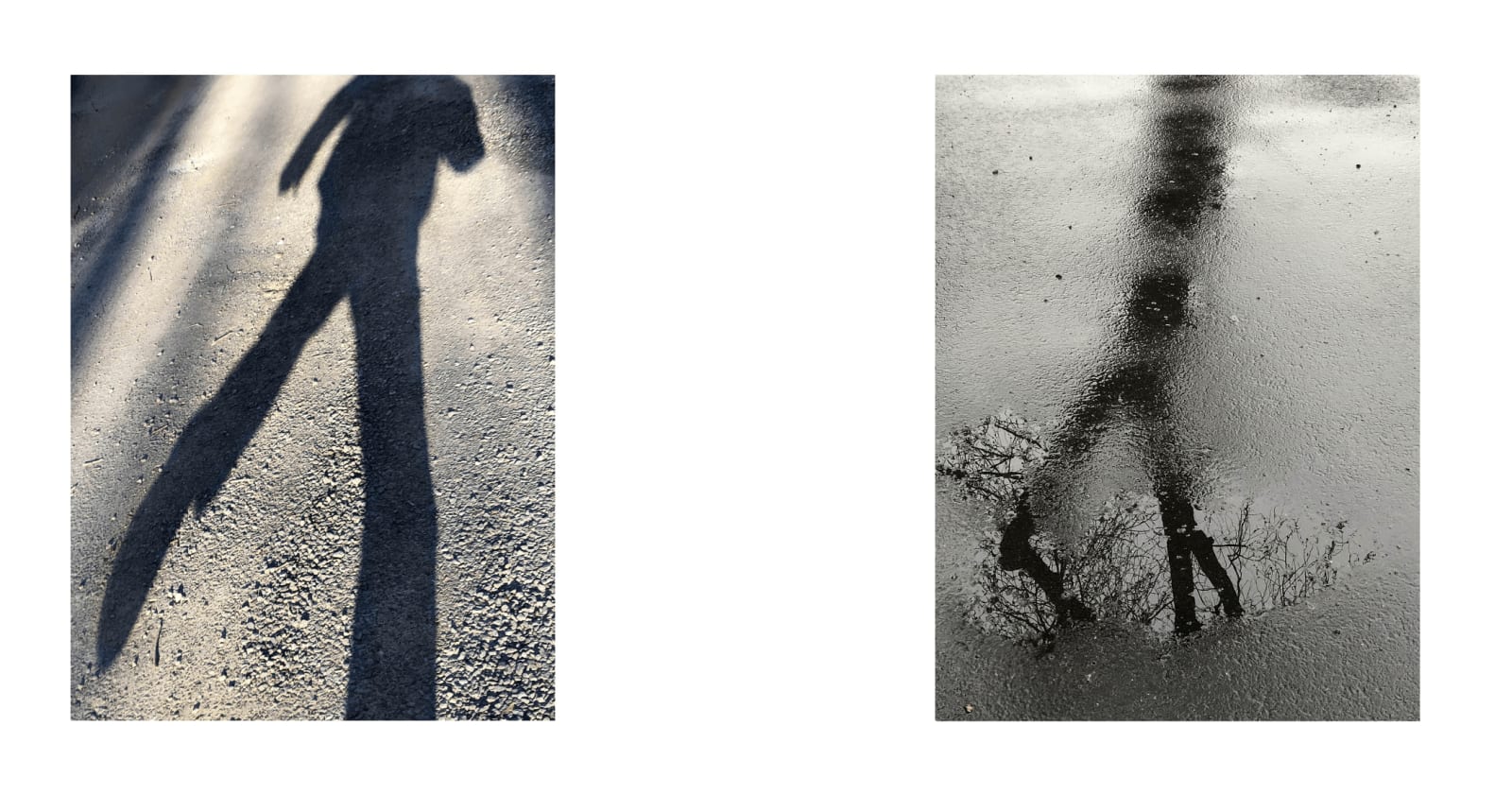 Shadows 04, 2021