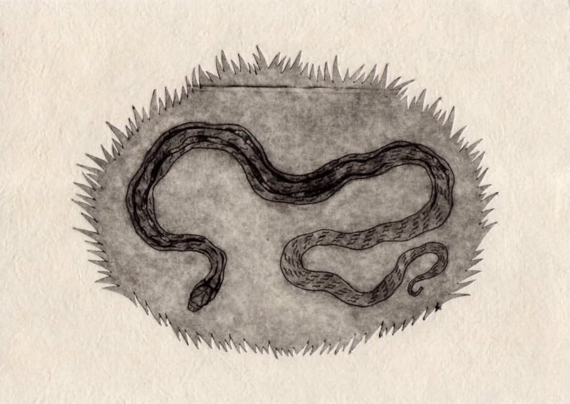 Sharon Chin, Melangkahi Ular (Copperhead Racer, Ular Rusuk Kerbau), 2020