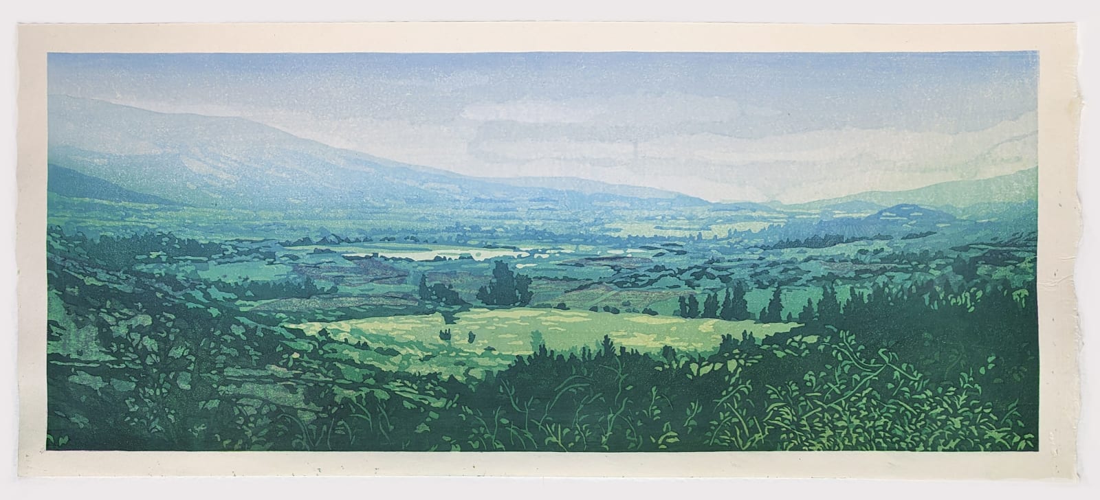 Cameron Bailey, El Paradisio