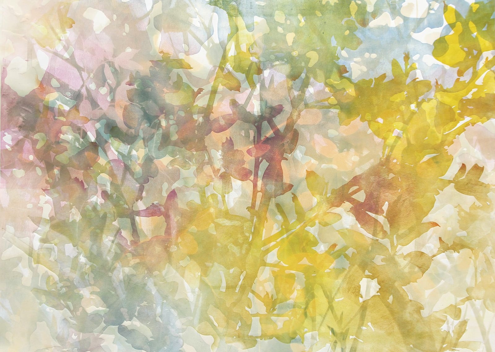 Katherine Warinner, Shadow Forest, 2022