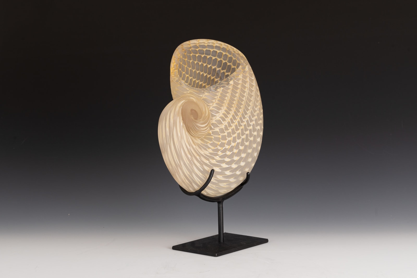 Treg Silkwood, Golden Nautilus